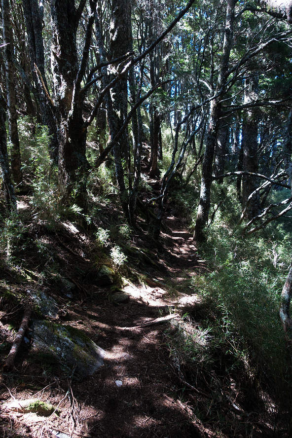 DSC02763.jpg DSC02763.jpg