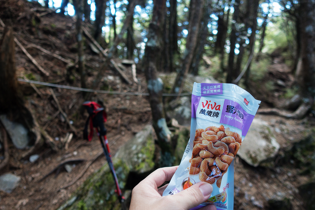 DSC02769.jpg DSC02769.jpg