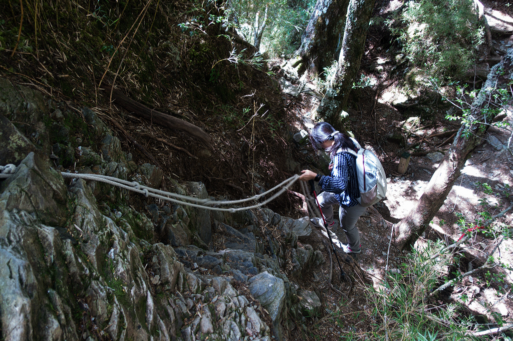 DSC02766.jpg DSC02766.jpg