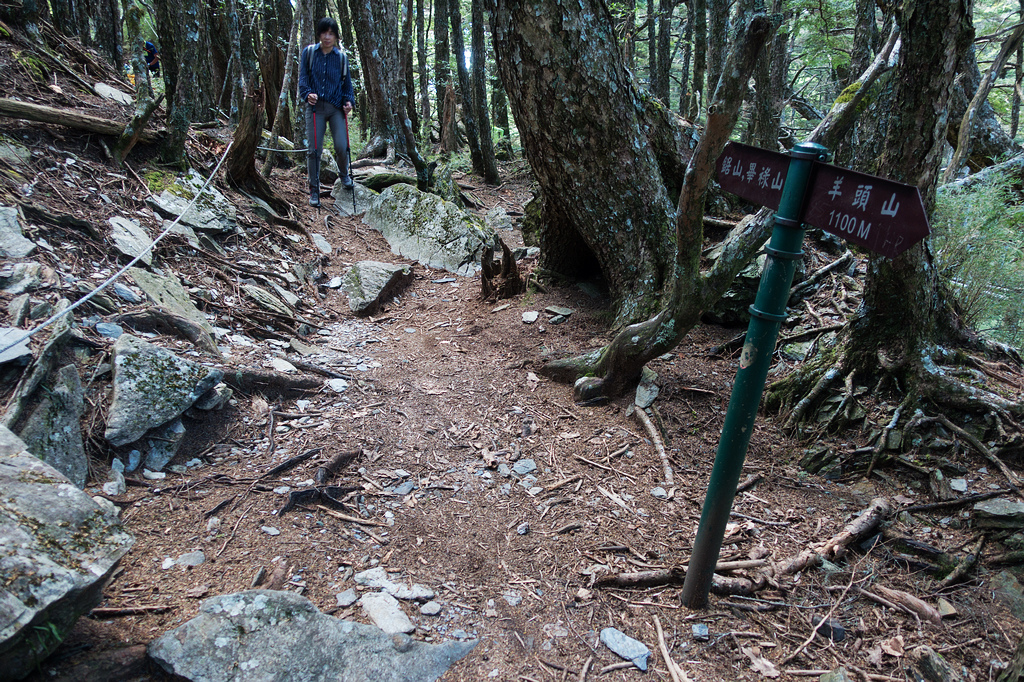 DSC02768.jpg DSC02768.jpg