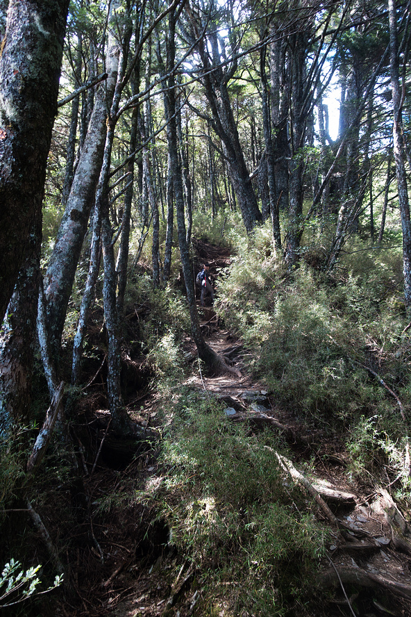 DSC02767.jpg DSC02767.jpg