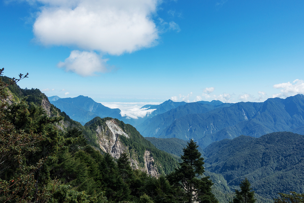 DSC02778.jpg DSC02778.jpg