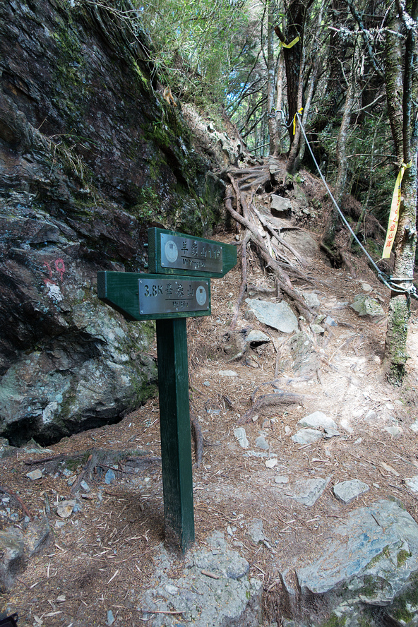 DSC02770.jpg DSC02770.jpg