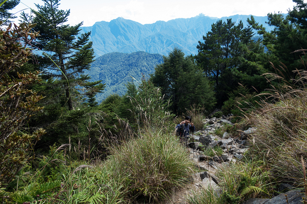 DSC02775.jpg DSC02775.jpg