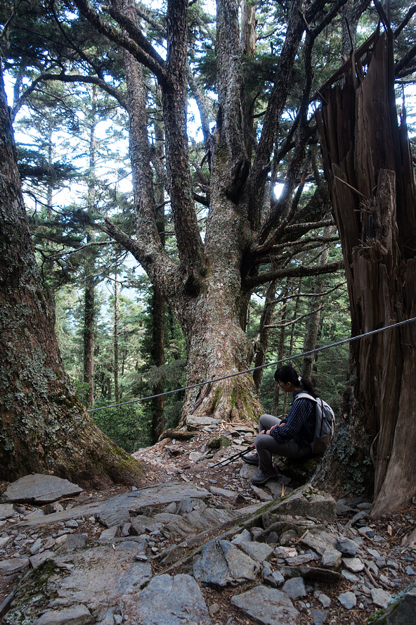 DSC02782.jpg DSC02782.jpg