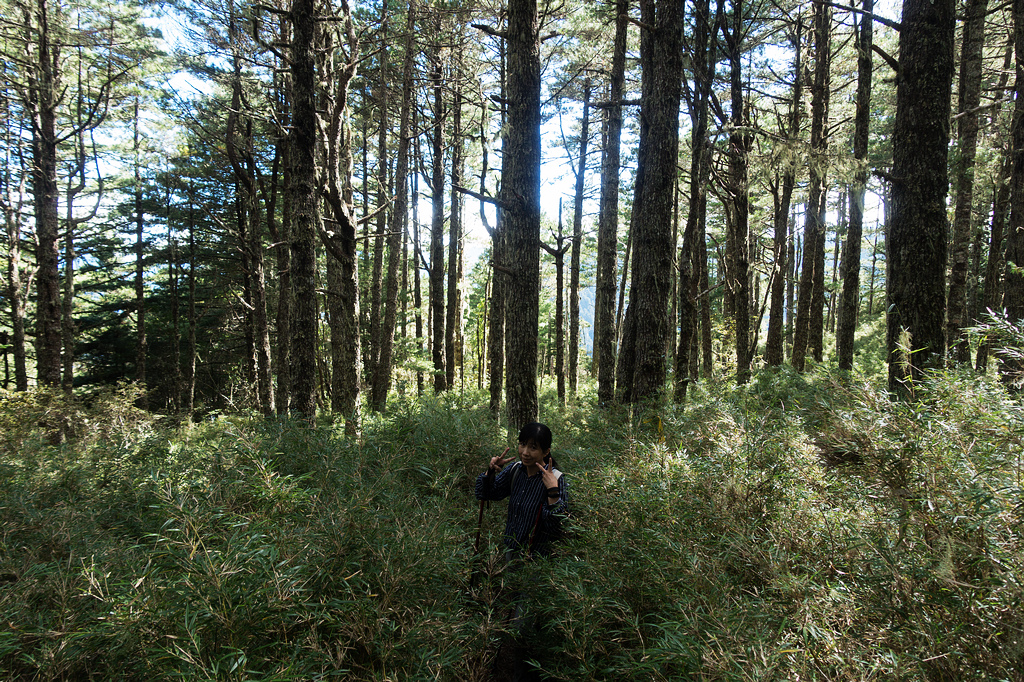 DSC02783.jpg DSC02783.jpg