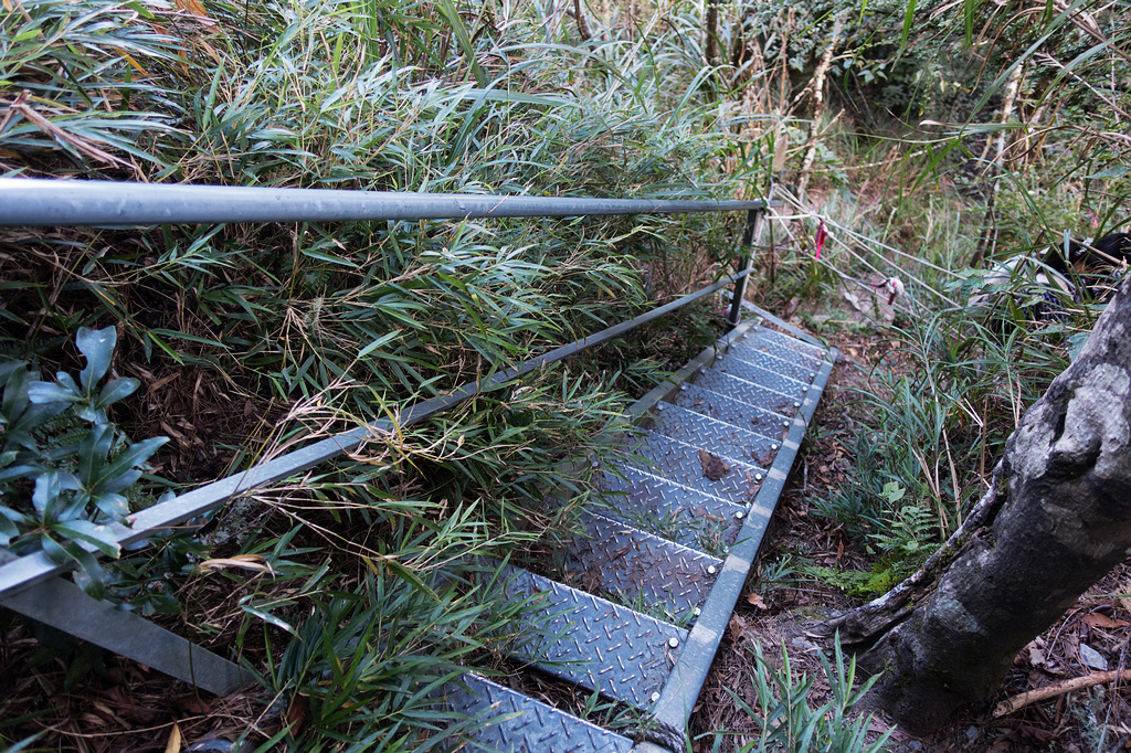 DSC02785.jpg DSC02785.jpg