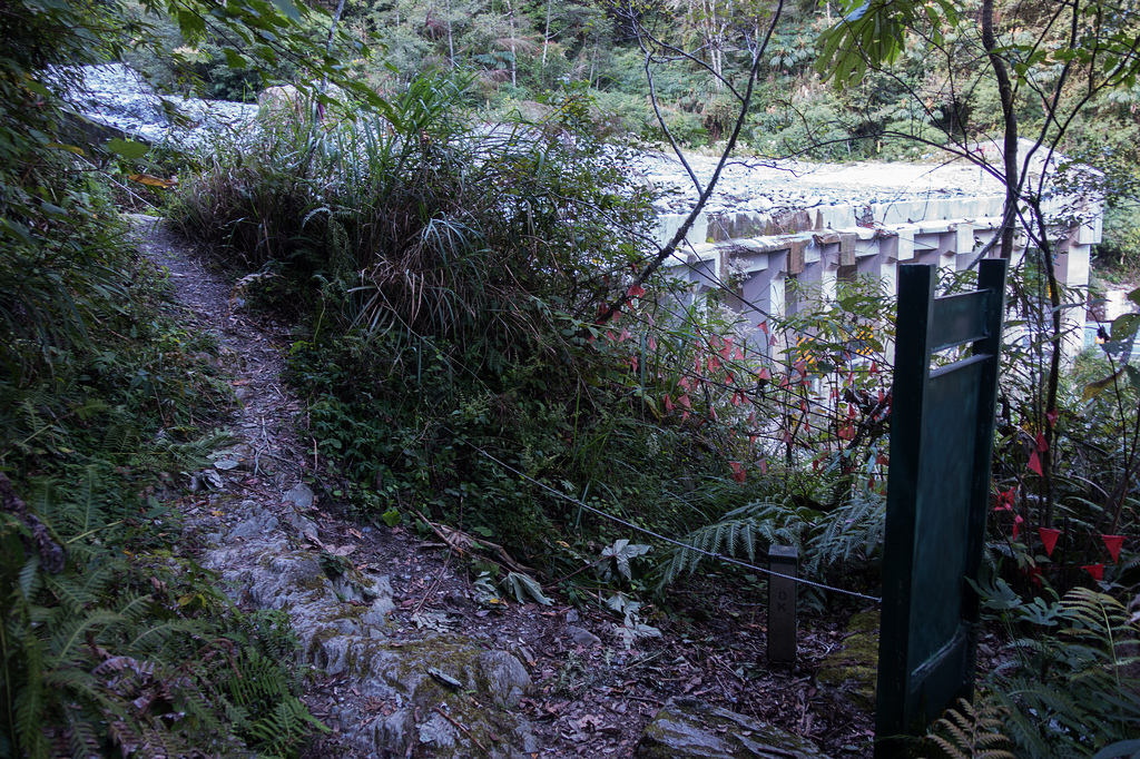 DSC02786.jpg DSC02786.jpg