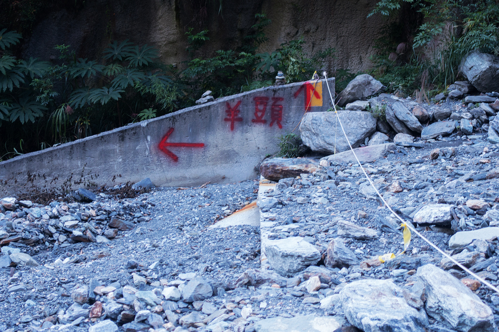 DSC02797.jpg DSC02797.jpg