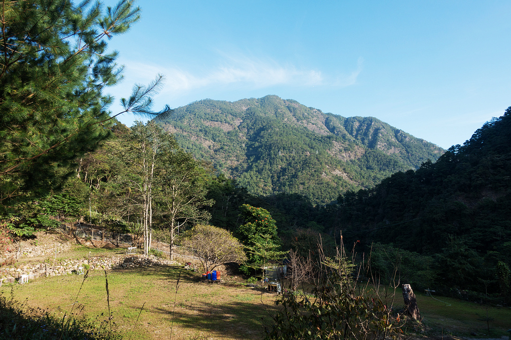 DSC02808.jpg DSC02808.jpg