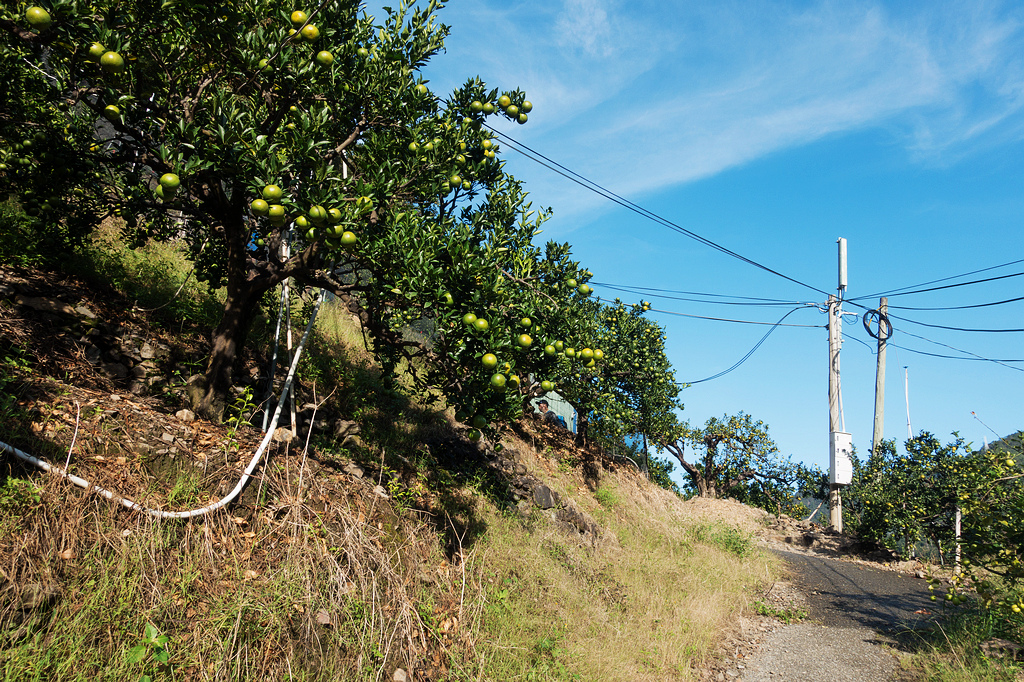 DSC02813.jpg DSC02813.jpg