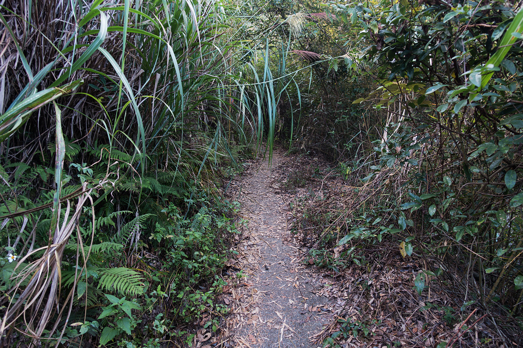 DSC02818.jpg DSC02818.jpg