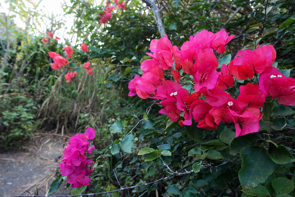 DSC02819.jpg DSC02819.jpg