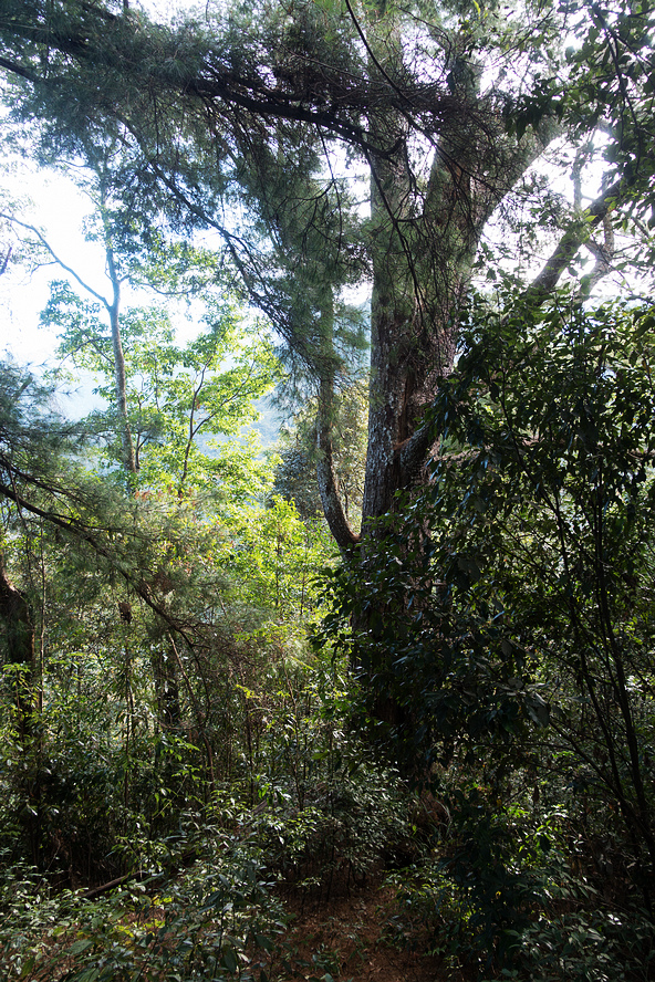 DSC02824.jpg DSC02824.jpg