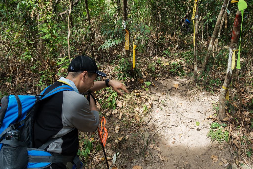 DSC02829.jpg DSC02829.jpg