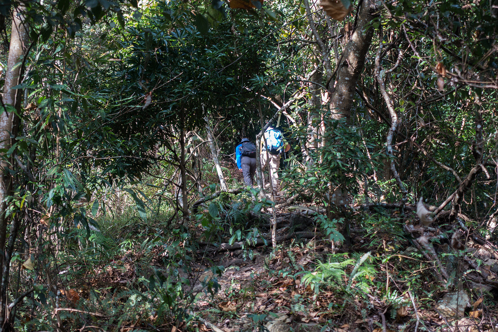 DSC02830.jpg DSC02830.jpg