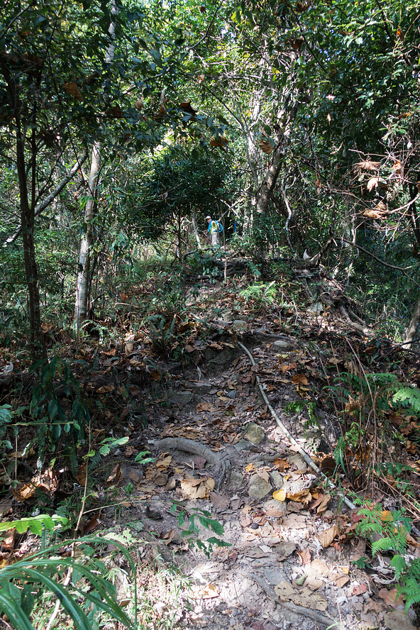 DSC02831.jpg DSC02831.jpg