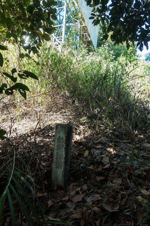 DSC02834.jpg DSC02834.jpg