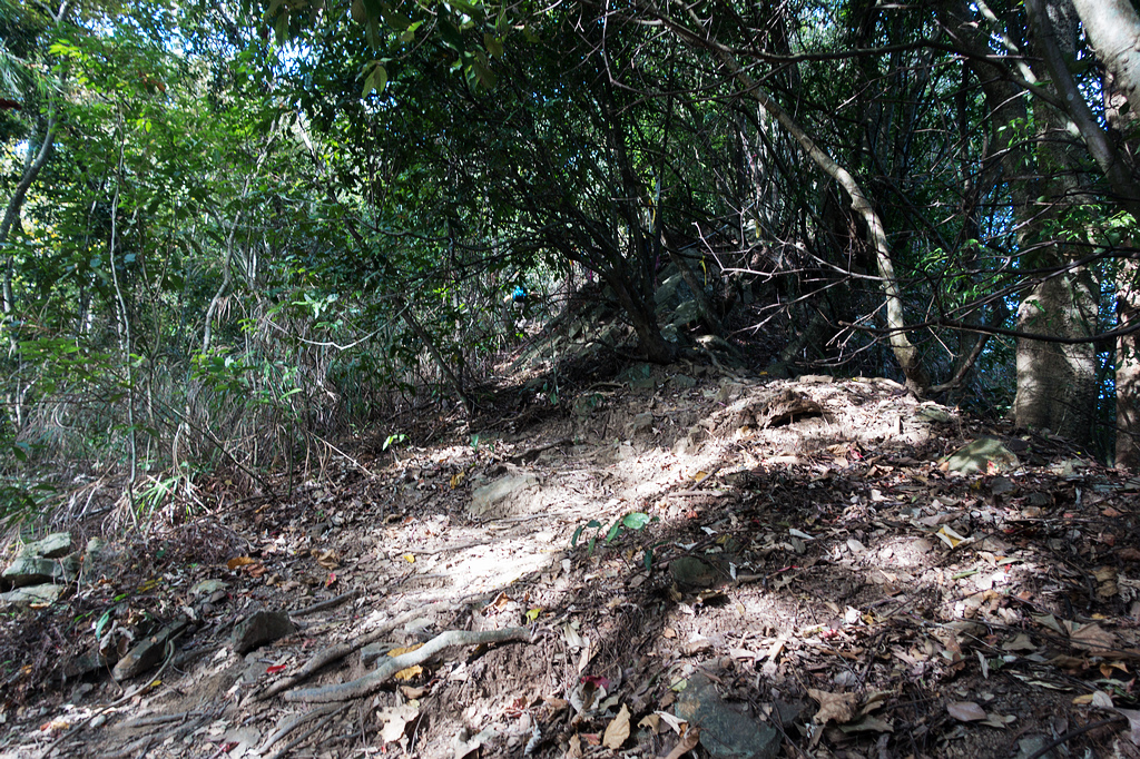 DSC02832.jpg DSC02832.jpg