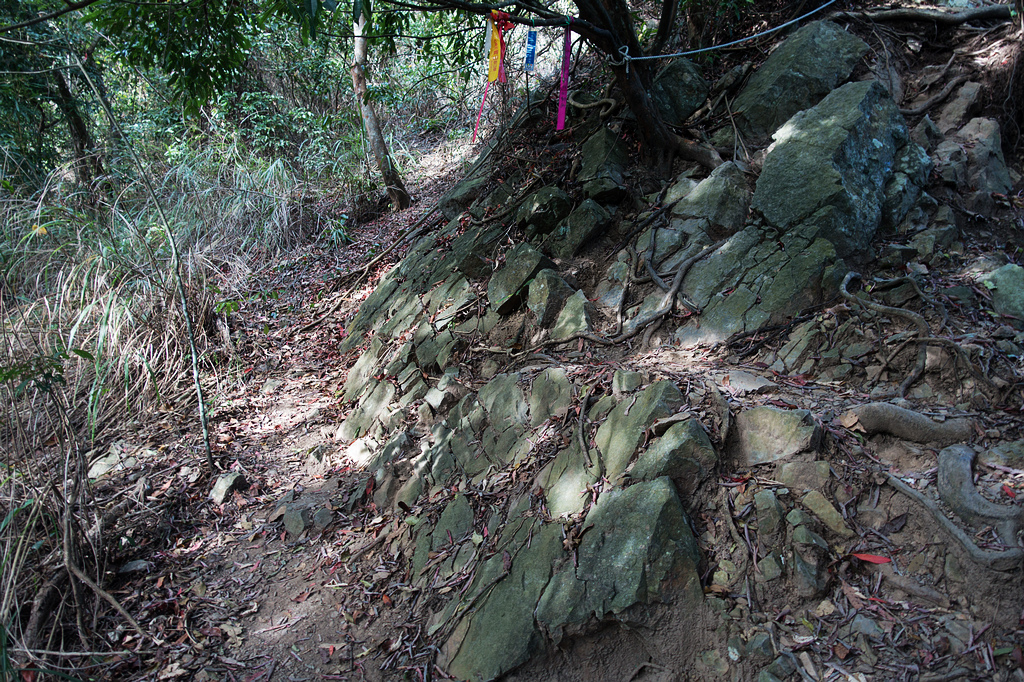 DSC02833.jpg DSC02833.jpg