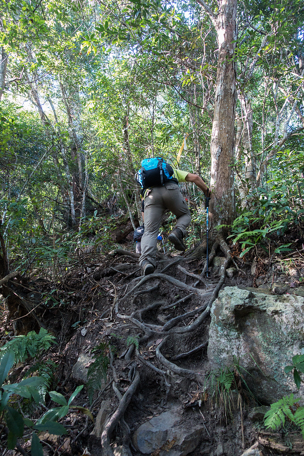 DSC02851.jpg DSC02851.jpg