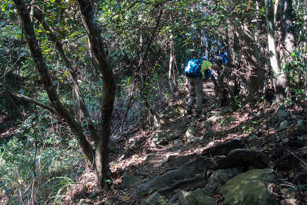 DSC02850.jpg DSC02850.jpg