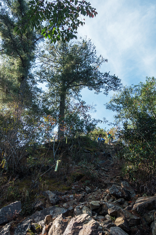 DSC02853.jpg DSC02853.jpg