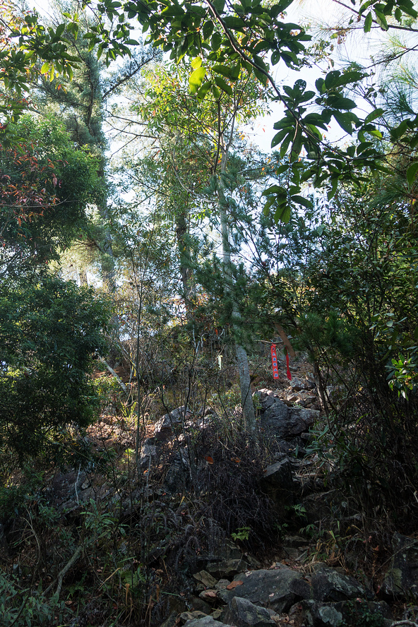 DSC02852.jpg DSC02852.jpg