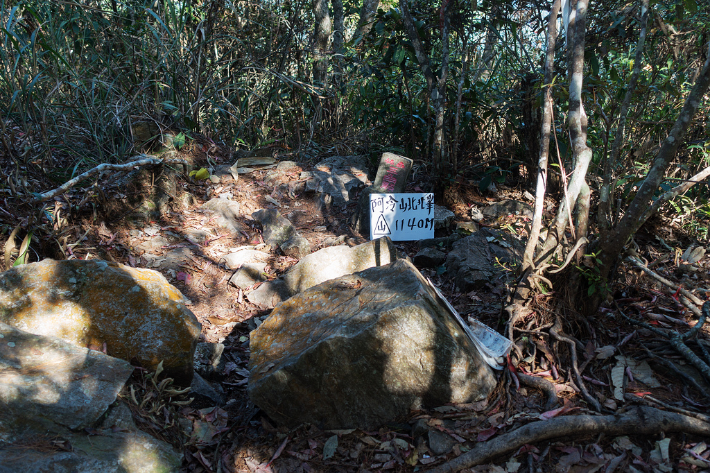 DSC02893.jpg DSC02893.jpg