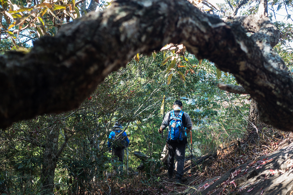 DSC02909.jpg DSC02909.jpg