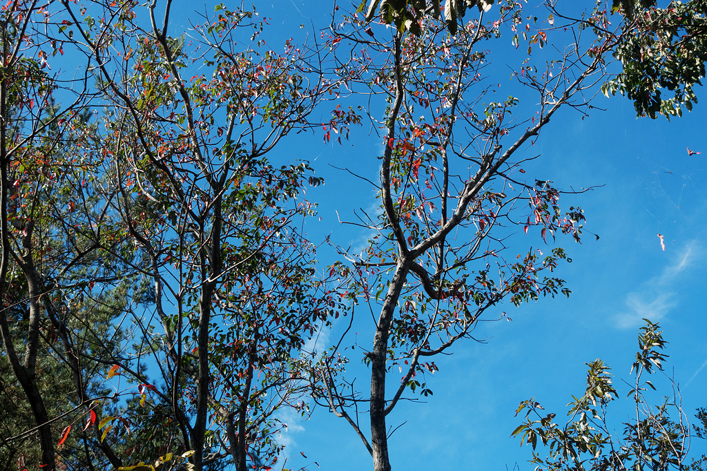 DSC02908.jpg DSC02908.jpg