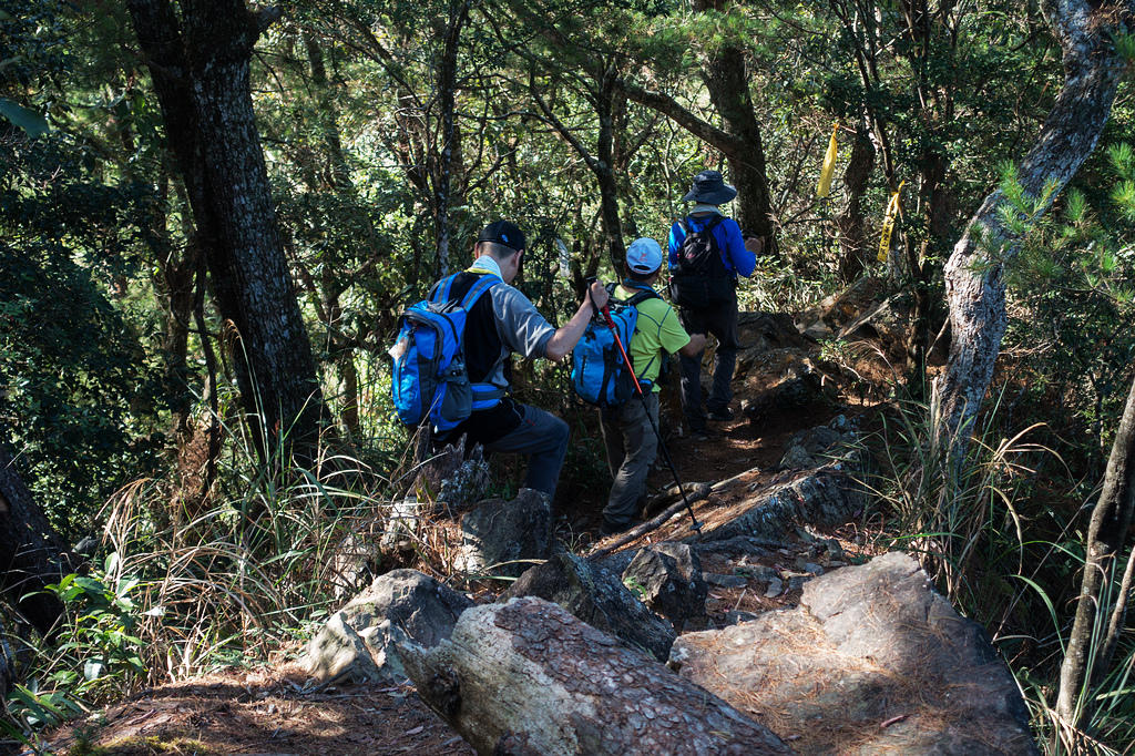 DSC02910.jpg DSC02910.jpg