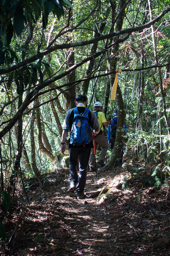 DSC02915.jpg DSC02915.jpg