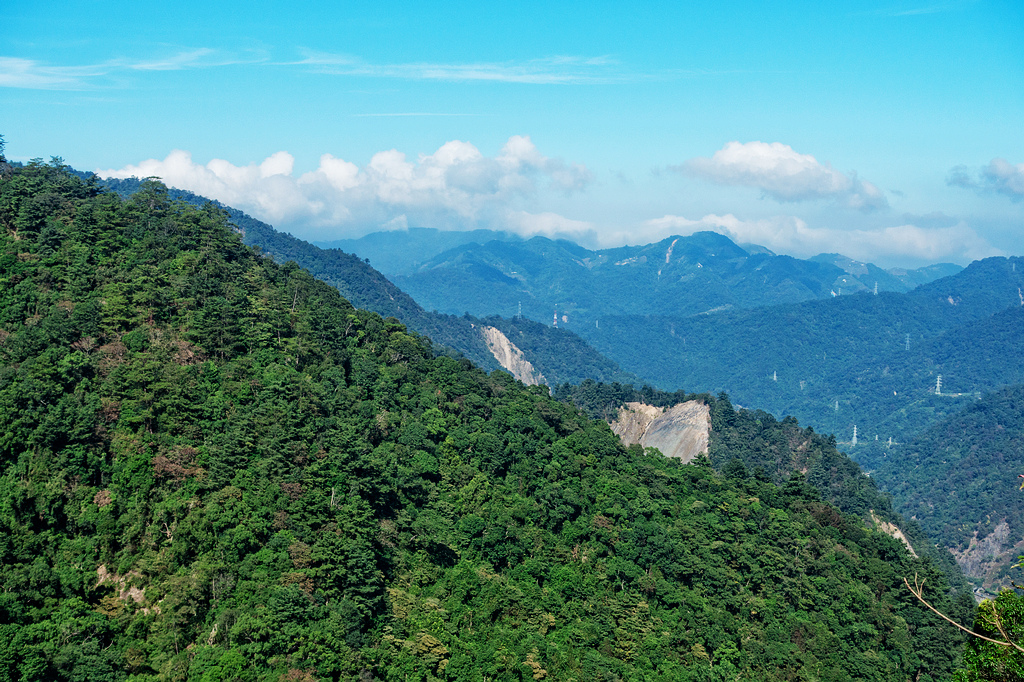 DSC02919-編輯.jpg DSC02919-編輯.jpg