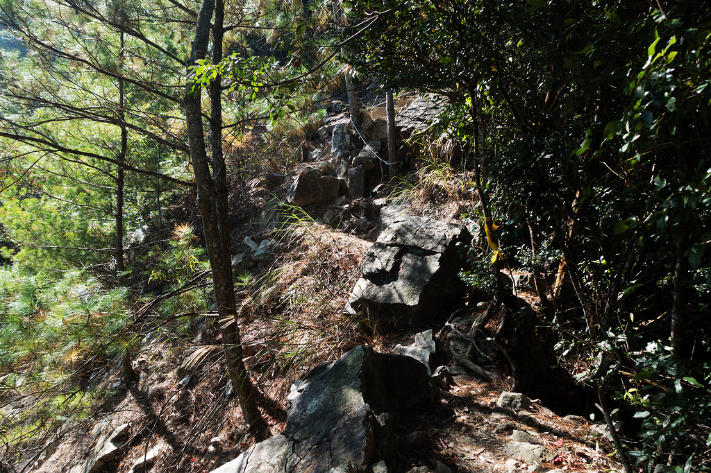 DSC02921.jpg DSC02921.jpg