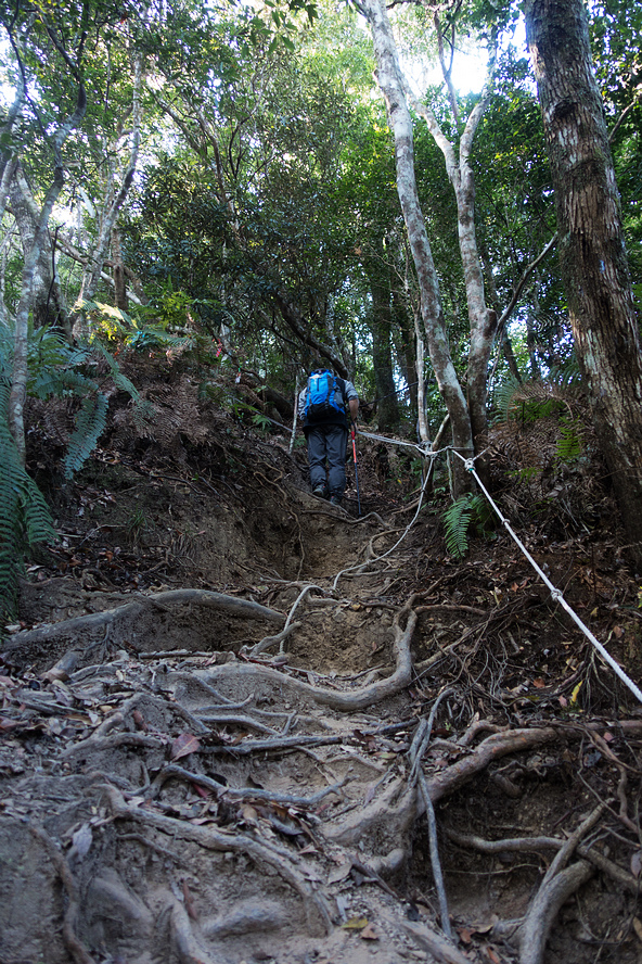 DSC02930.jpg DSC02930.jpg