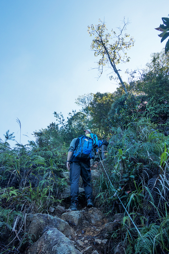 DSC02931.jpg DSC02931.jpg