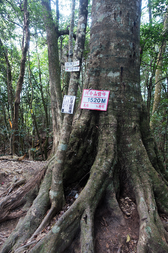 DSC02947.jpg DSC02947.jpg