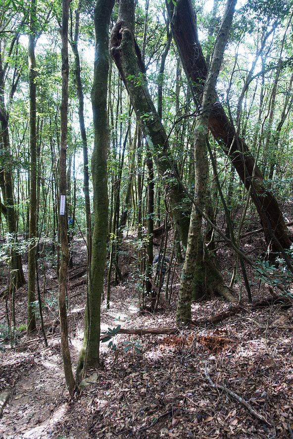 DSC02948.jpg DSC02948.jpg