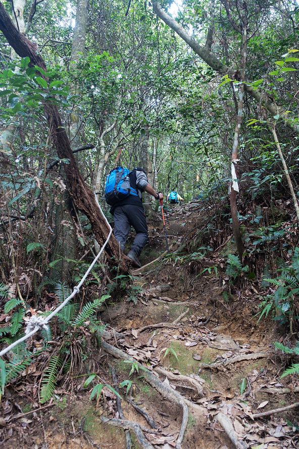 DSC02956.jpg DSC02956.jpg