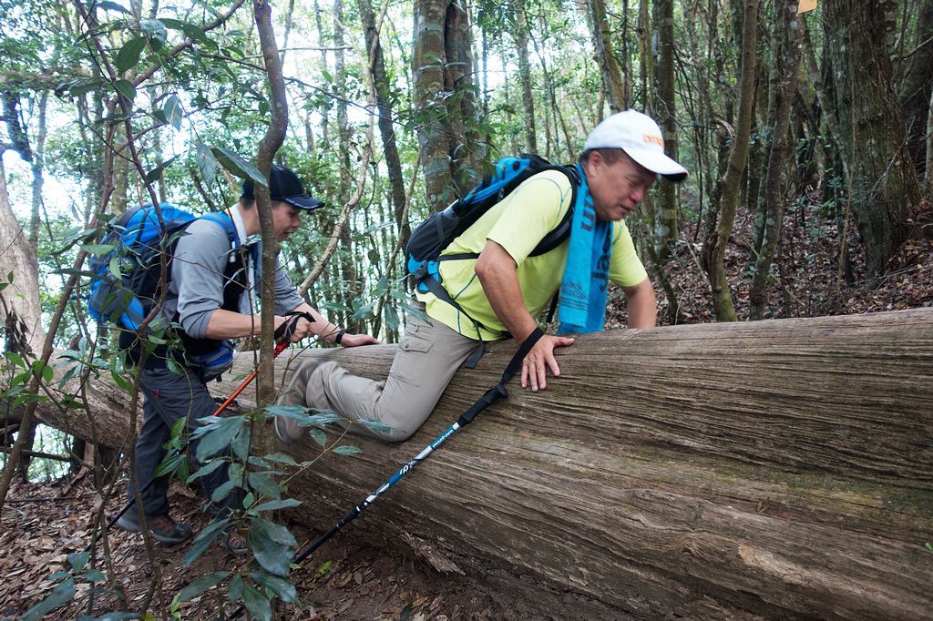 DSC02955.jpg DSC02955.jpg