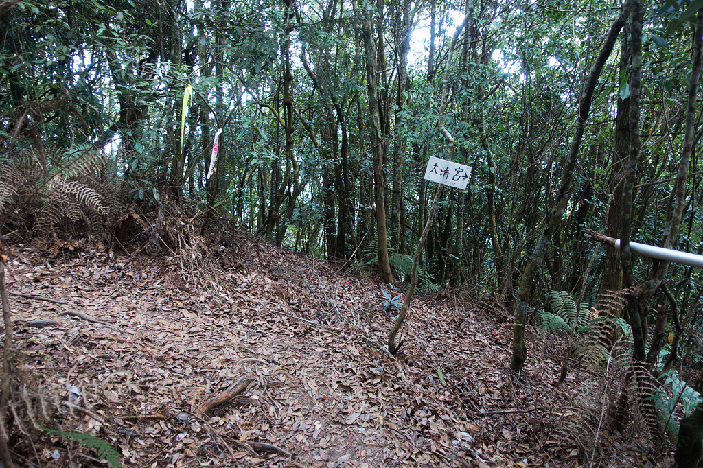 DSC02957.jpg DSC02957.jpg