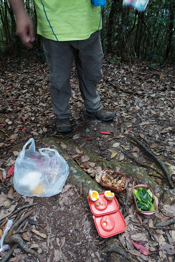 DSC02965.jpg DSC02965.jpg