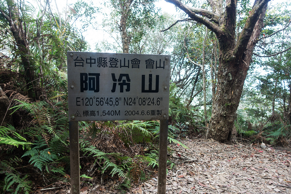 DSC02973.jpg DSC02973.jpg