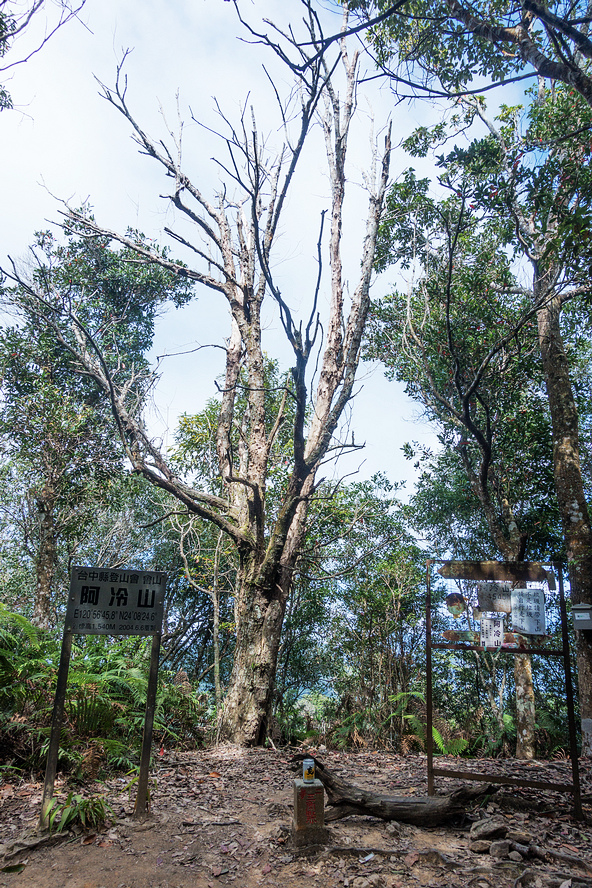 DSC02977.jpg DSC02977.jpg