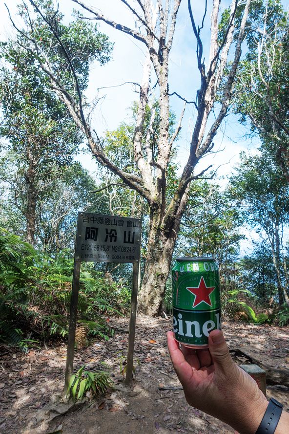 DSC02980.jpg DSC02980.jpg