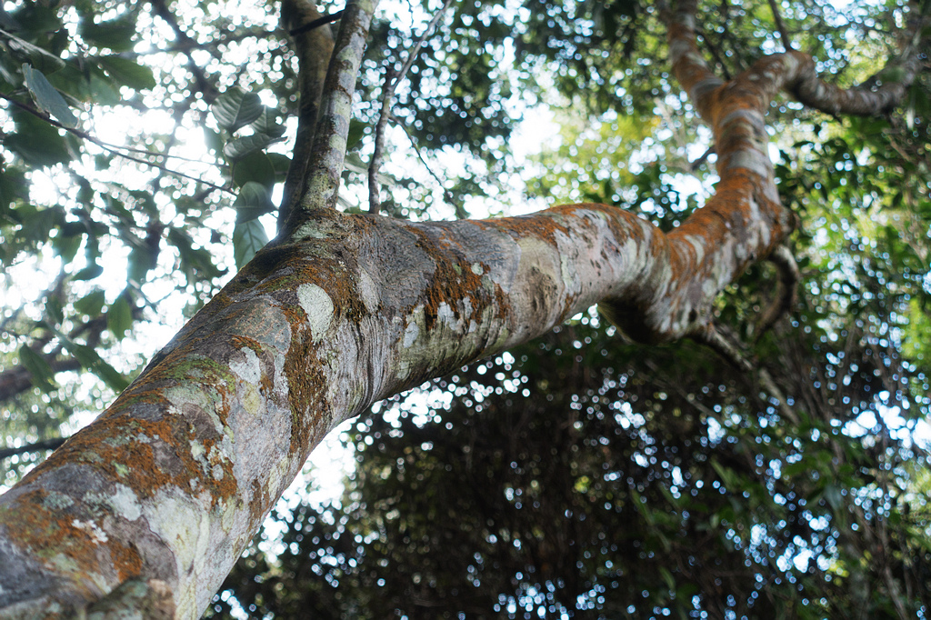 DSC02995.jpg DSC02995.jpg