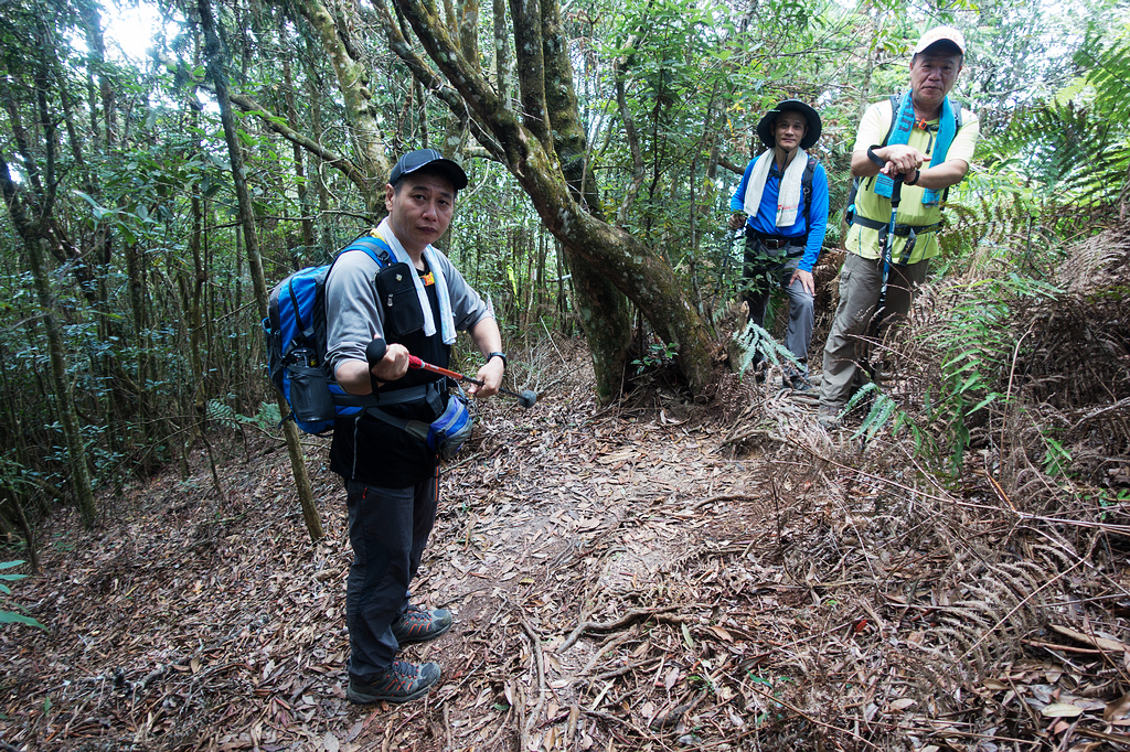 DSC02996.jpg DSC02996.jpg