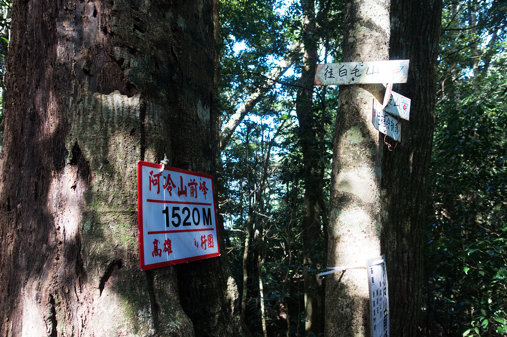 DSC03002.jpg DSC03002.jpg