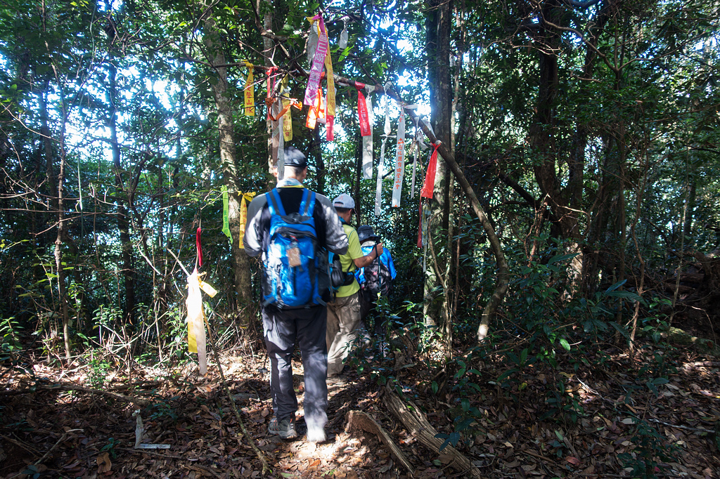 DSC03005.jpg DSC03005.jpg